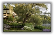 gallery_17