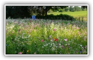 gallery_2