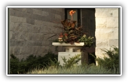gallery_27