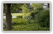 gallery_6