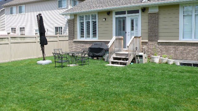 Before: Back Yard Patio