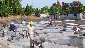 Cancer Survivors Park