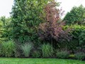img_10