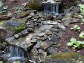 img_5
